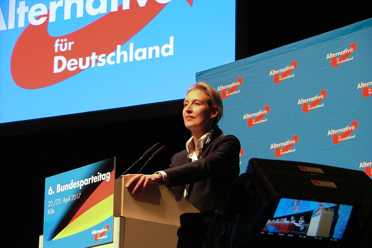 alice weidel Image Olaf Kosinsky Wikimedia Commons